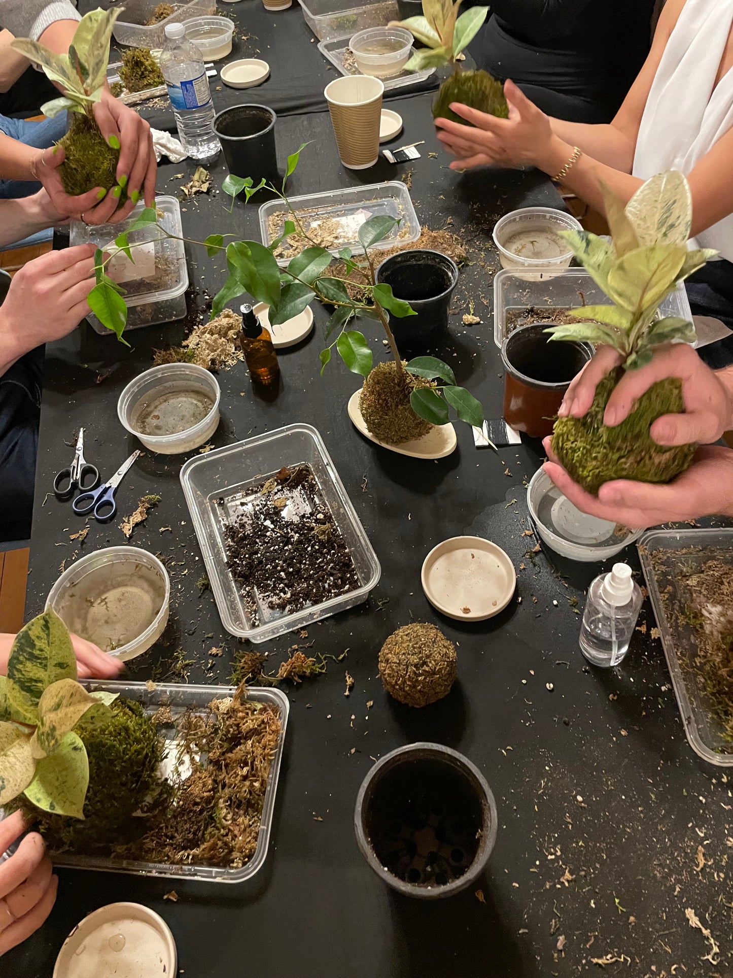 SOLD OUT Kokedama workshop: May 12 @ 10:30am